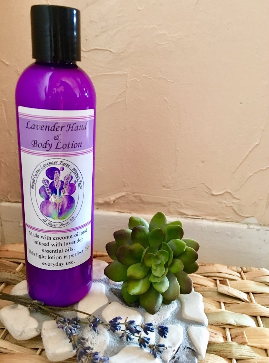 Lavender Hand & Body Lotion Potter Country Store