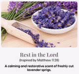Reveal Candle Tin