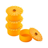 Containers Small Set of 4