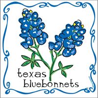 Bluebonnet Square Magnet