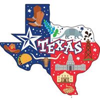 Texas Flag Shape Dual level Magnet